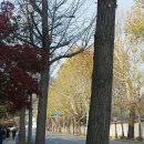 별궁여관 이미지