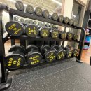 선샤인 피티샵 이미지