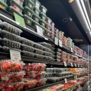 세이브마트(SAVE MART) | 뉴질랜드 워홀 - 마트 소개(식료품, 생필품)