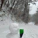 양평숲 비룡캠프장 이미지