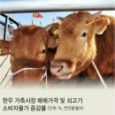 소한마리 이미지