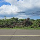 성읍리-2 이미지