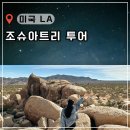 달라(Dalla)뮤직타운 | 조슈아트리 국립공원 투어 추천 예약 LA 여행 코스 근교 당일치기