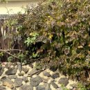 더쉼민박 이미지