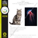 시각과공간미술학원