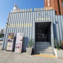 도심건강길 7길 | [군산 아이와 가볼만한곳] 36개월 무료 '테디베어뮤지엄' &amp; 이성당 웨이팅/주차 완벽 공략 (ft. 2...