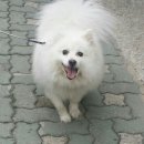 김영옥미용실