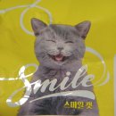 스마일 캣 | 고양이사료추천 스마일캣 대용량 고양이사료