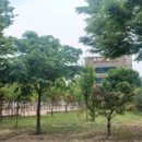 죽곡근린공원 이미지