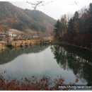 승안낚시터 | [출조후기] [송어] 2019. 11. 16 승안낚시터