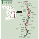 산등민박 | ⛰🚶🏻‍♂️ 낙동정맥 종주 - 1차 산행 (피재/삼수령~통리~석개재)