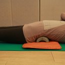 SNPE바른자세운동B 이미지