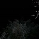 깜장고무신 이미지