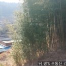 뚜꺼비공인중개사사무소 이미지