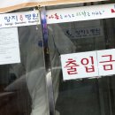 양지요양병원 뉴스1