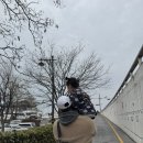 수원 가볼만한곳 수원화성 보고 수원통닭거리 가서 진미통닭 먹은 후기