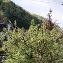 플라워민박 이미지