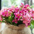 현대타워오피스텔 이미지