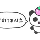 팔레트 이미지