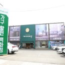 디바인동화