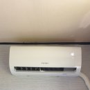 사파동263 이미지