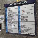 고운맘의원