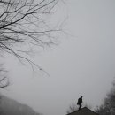 나무사이에 자연속으로 이미지