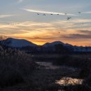 장유자동차정비 이미지