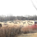 수노을공원2 이미지