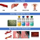 넥스트스토리