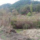 공근면사무소 이미지