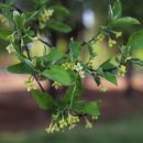 을미기공원 이미지