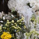 오스카호텔 | 인천웨딩홀 가격 카리스호텔웨딩 오스카홀 당일계약 후기