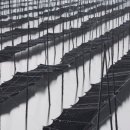 피크닉꼬마김밥 이미지