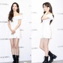 포토빛