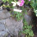 하늘아래작은마을 이미지