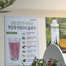 명지다이어트 시작! 바디웰니스 명지점에서 점핑운동 + 반신욕 찜질 체험 후기