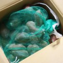 호박마켓 이미지