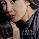 신비돌스 랙돌 캐터리 이미지