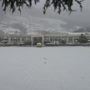 회덕초등학교 이미지