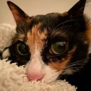 모산로139번길 이미지