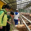 서강지역아동센터 이미지