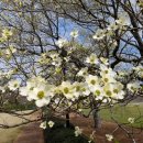 순천시기독교역사박물관 이미지