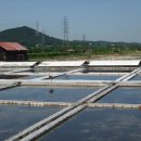 백운역 1번 출구 이미지