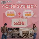 논현동 헬스장 헬스보이짐 필라걸 학동역점 가격이벤트주차운영시간