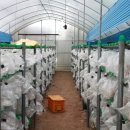 한마루농장 이미지