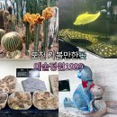 예술조형물(구지공원 | [경기도 포천 가볼만한곳] 서울근교드라이브 + 아이와가볼만한곳 추천｜포천 예술정원1999 후기