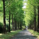 경상남도 수목원 이미지