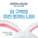 마이펫돌