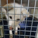 하북2길 이미지